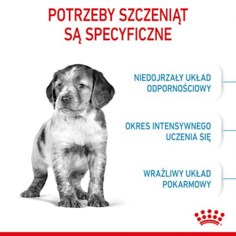 Royal Canin Medium Puppy karma sucha dla szczeniąt, od 2 do 12 miesiąca, ras średnich 15kg - 2