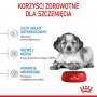 Royal Canin Medium Puppy karma sucha dla szczeniąt, od 2 do 12 miesiąca, ras średnich 15kg - 4